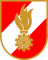 Fürtinger Timo